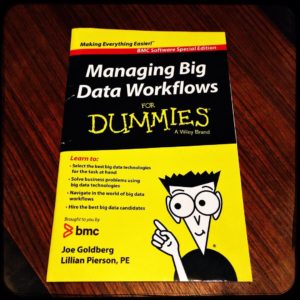 managing big data workflows for dummies