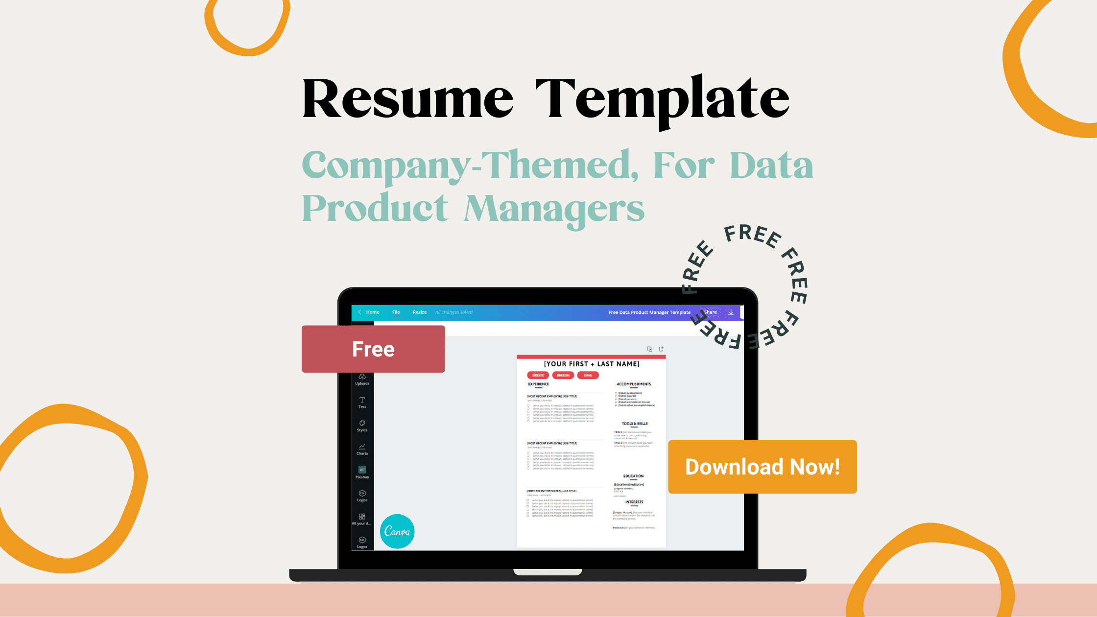 free data product manager template