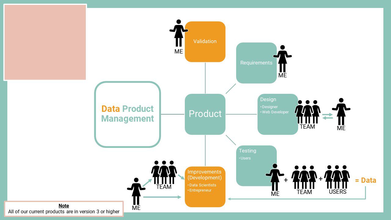 what does a data product manager do