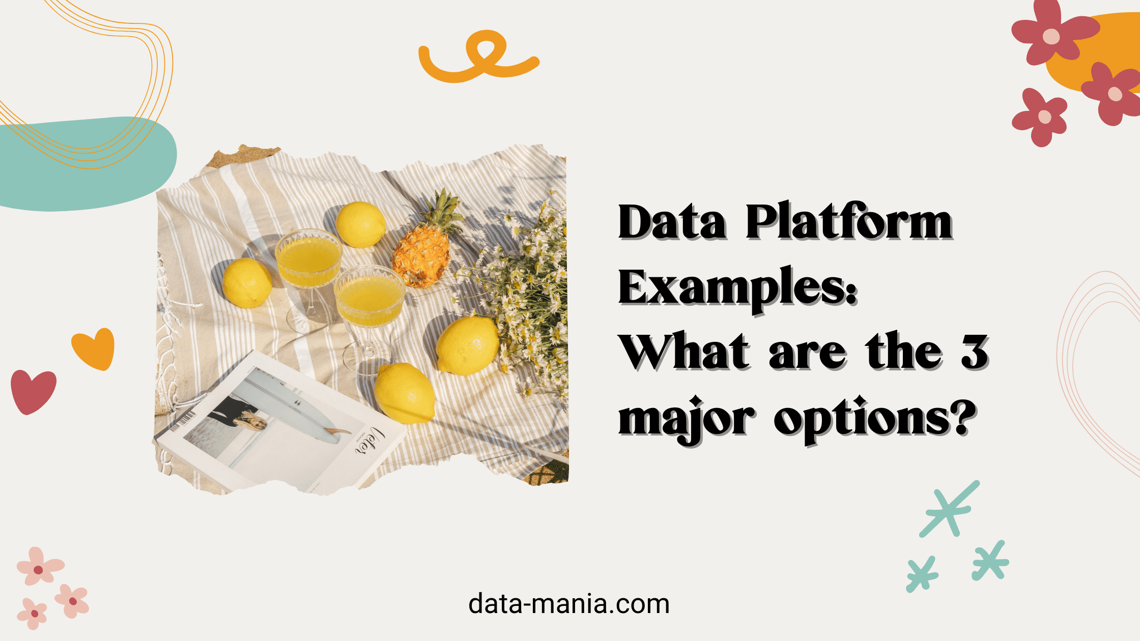 data platform examples