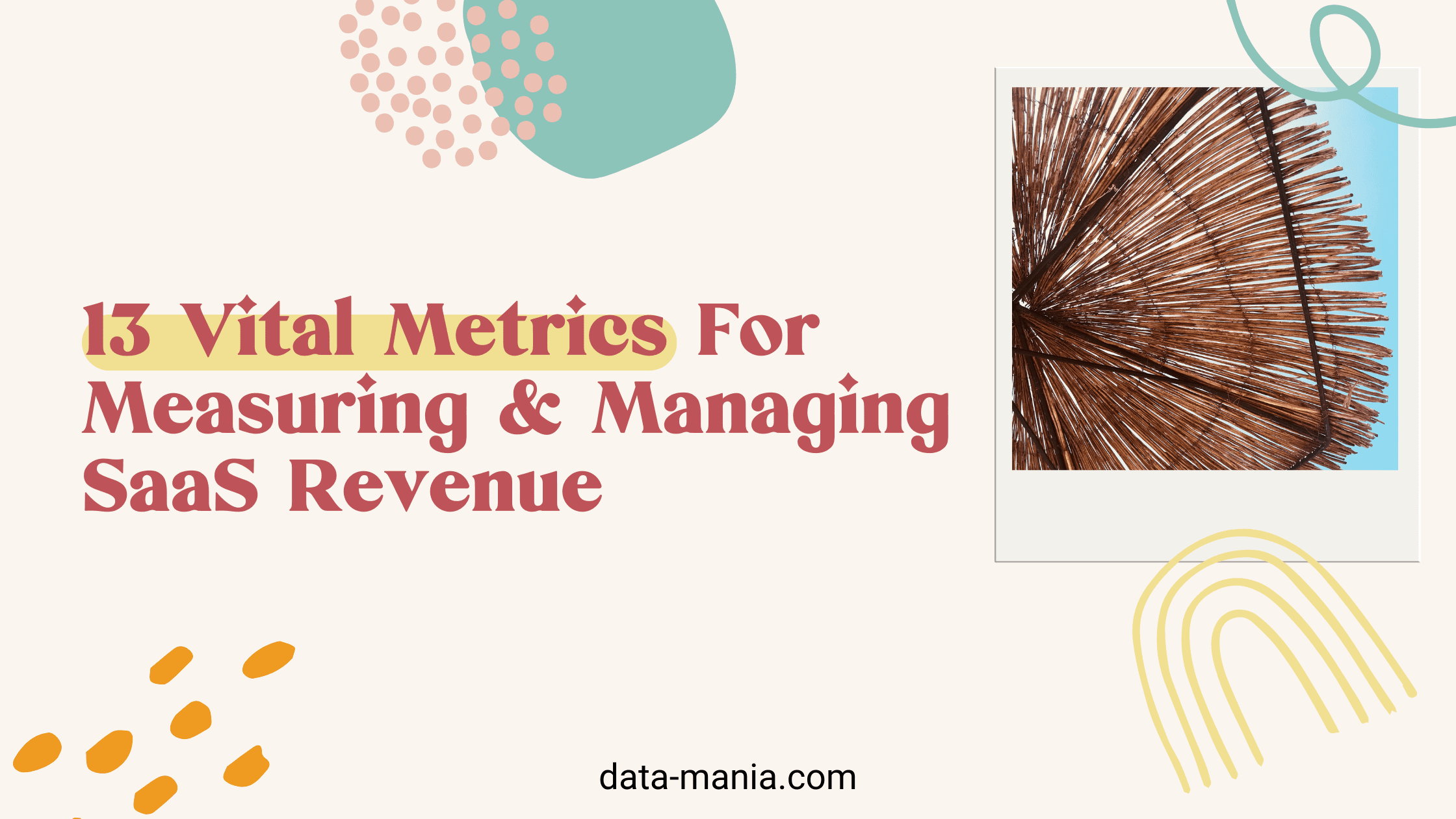 saas revenue metrics